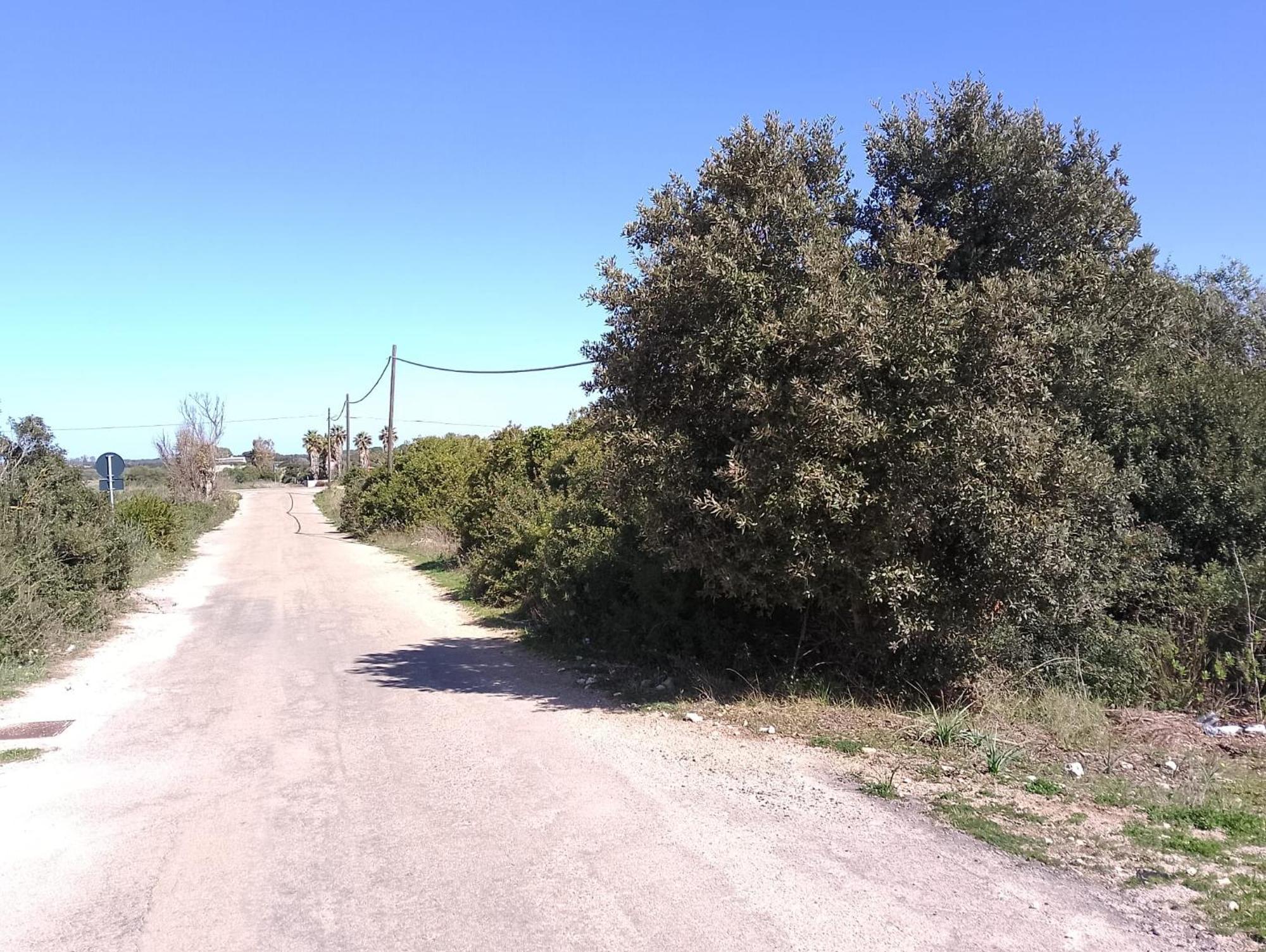 Punta Grossa Apartments By My Home Apulia Torre Lapillo Luaran gambar