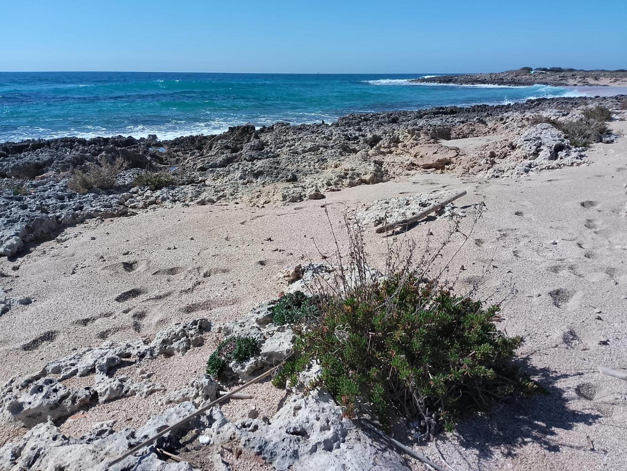 Punta Grossa Apartments By My Home Apulia Torre Lapillo Luaran gambar